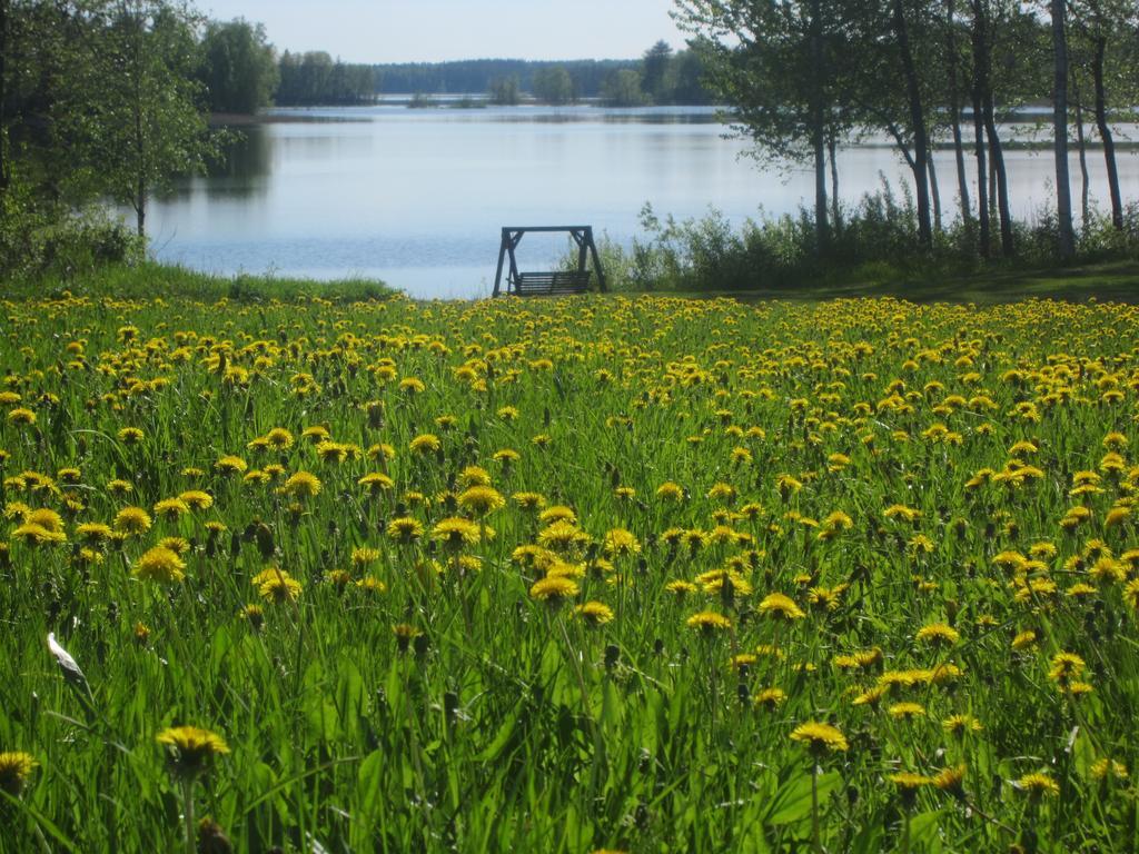 Karjalan Helmi Hotel Tolosenmäki Buitenkant foto