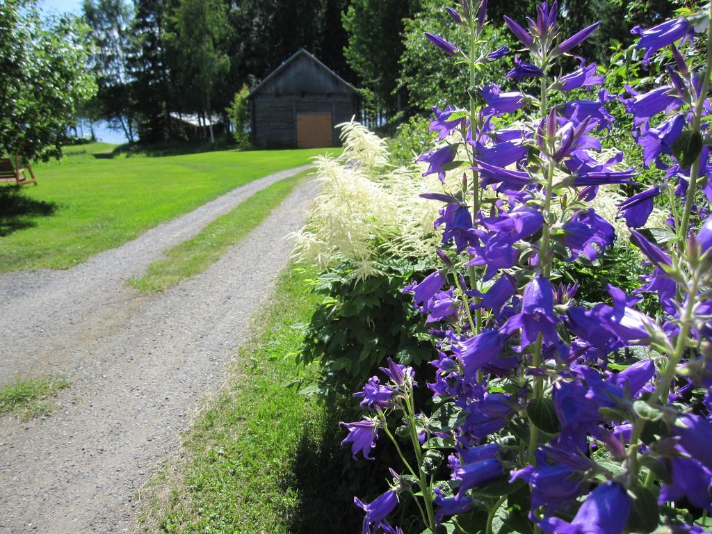 Karjalan Helmi Hotel Tolosenmäki Buitenkant foto