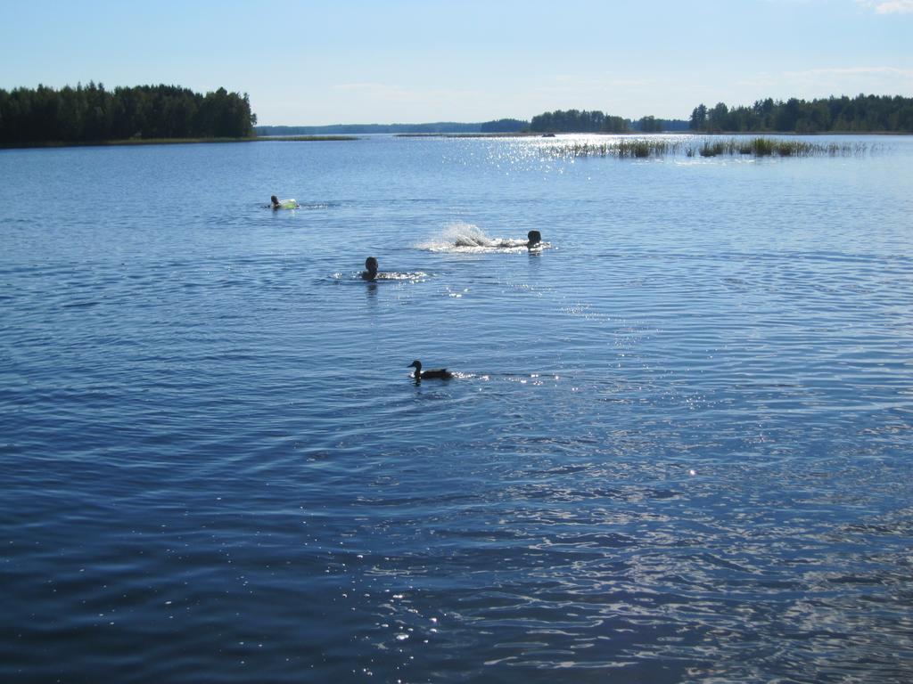 Karjalan Helmi Hotel Tolosenmäki Buitenkant foto
